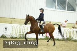 24R13_11163 thumbnail