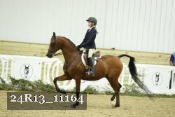 24R13_11164 thumbnail