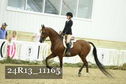 24R13_11165 thumbnail