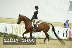 24R13_11166 thumbnail