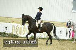 24R13_11168 thumbnail