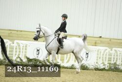 24R13_11169 thumbnail