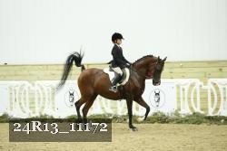 24R13_11172 thumbnail