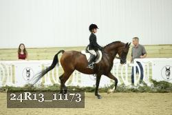 24R13_11173 thumbnail