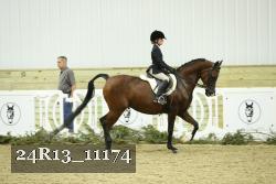 24R13_11174 thumbnail