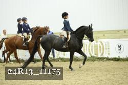 24R13_11175 thumbnail