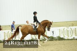 24R13_11178 thumbnail