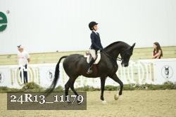 24R13_11179 thumbnail