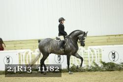 24R13_11182 thumbnail