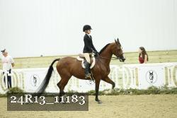 24R13_11183 thumbnail