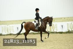 24R13_11185 thumbnail