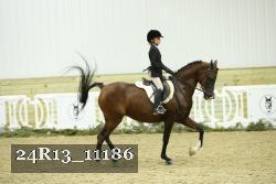 24R13_11186 thumbnail