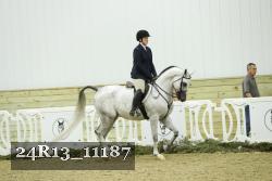 24R13_11187 thumbnail