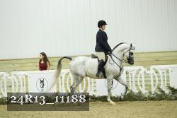24R13_11188 thumbnail