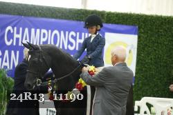 24R13_11190 thumbnail