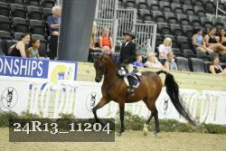 24R13_11204 thumbnail