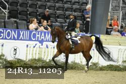 24R13_11205 thumbnail