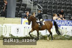 24R13_11206 thumbnail