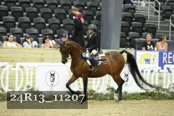 24R13_11207 thumbnail