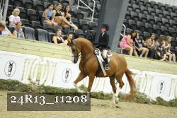 24R13_11208 thumbnail