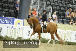 24R13_11209 thumbnail