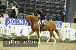 24R13_11210 thumbnail