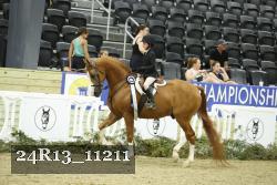 24R13_11211 thumbnail