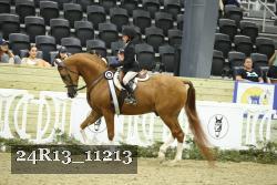 24R13_11213 thumbnail