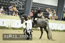 24R13_11214 thumbnail