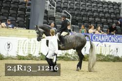 24R13_11216 thumbnail