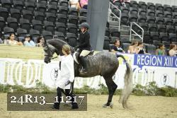 24R13_11217 thumbnail