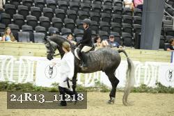 24R13_11218 thumbnail