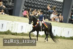 24R13_11219 thumbnail