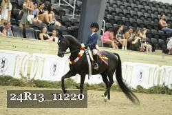 24R13_11220 thumbnail