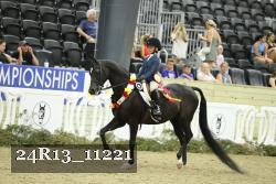 24R13_11221 thumbnail