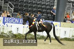 24R13_11222 thumbnail