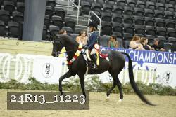 24R13_11223 thumbnail