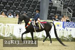 24R13_11224 thumbnail
