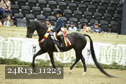 24R13_11225 thumbnail