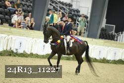 24R13_11227 thumbnail