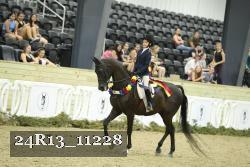24R13_11228 thumbnail
