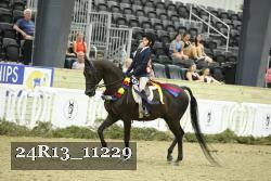 24R13_11229 thumbnail