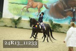 24R13_11233 thumbnail