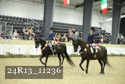 24R13_11236 thumbnail