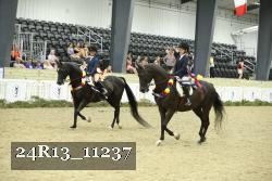 24R13_11237 thumbnail