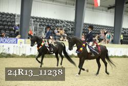 24R13_11238 thumbnail