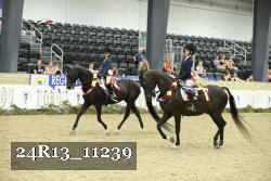24R13_11239 thumbnail