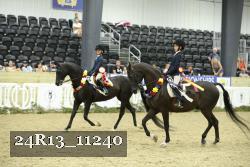 24R13_11240 thumbnail