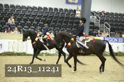 24R13_11241 thumbnail