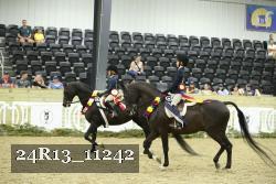 24R13_11242 thumbnail